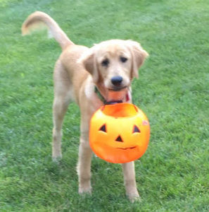 Meet your Posher, Mallory